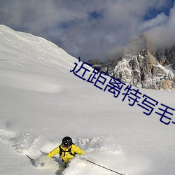 近(jìn)距离特写毛毛浓密丰满观