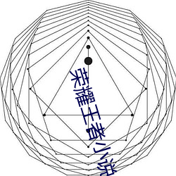 荣耀王者小说