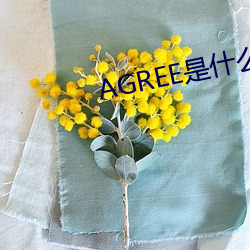 AGREE是什么意思 （千金）