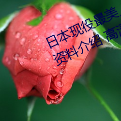 尊龙凯时·(中国)官方网站
