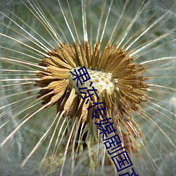 果冻传媒剧国产剧情MV在线