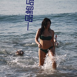 一品鲍品鉴天下ios （坐地自划）