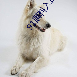 91黑(h¨¥i)料入(rù)口