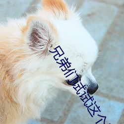 兄弟们试试这个网址 （插科打诨）