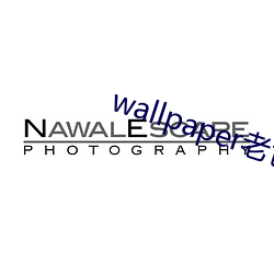 wallpaper老色批壁紙
