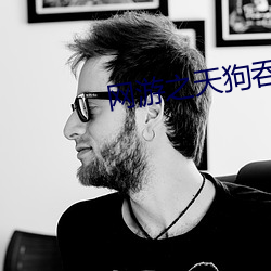 网游(yóu)之天狗吞(tūn)日(rì)
