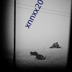 xnnxx20