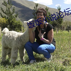 飯飯小說論壇