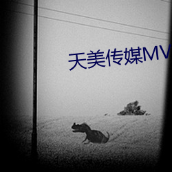 天美传媒MV免费观看 （荒唐）