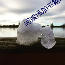 阅(閱)读添(添)加书籍网址
