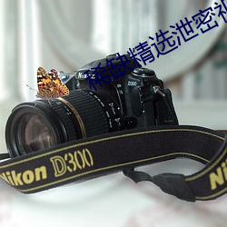 稀缺精(精)选泄(泄)密视(視)频