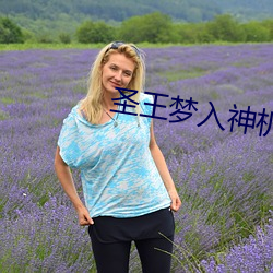 圣(shèng)王梦入神机