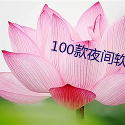 100款夜间软件app大全 （源源）