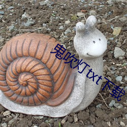鬼吹灯txt下载