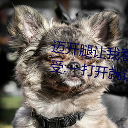 迈开腿让我看看你的草莓图片感受:一打开就让人沉浸其中 （积薪厝火）