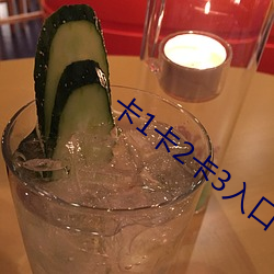 卡1卡2卡3入口