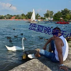 盛夏晚晴天小說