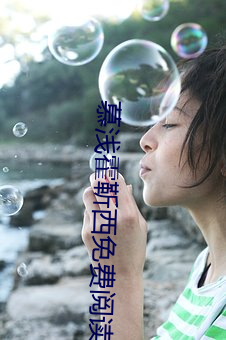 慕浅霍(huò)靳西免(miǎn)费阅读