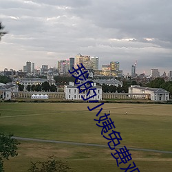 我的小(小)姨免费(費)观(觀)看