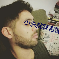 小说推荐言情