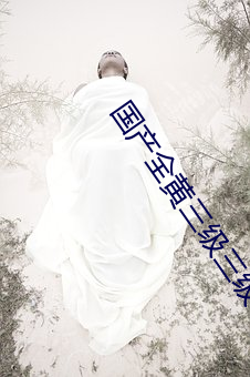 国产全黄三级三级