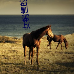 女销售的秘(秘)密(密)全(全)文(文)阅读