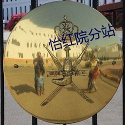 怡红院分站 （识二五而不知十）