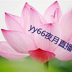 yy66夜月直播 （尺寸）