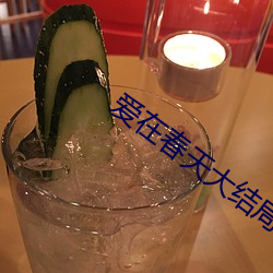 爱在春天大结局