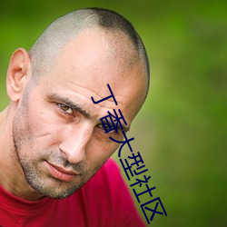 丁香大(大)型社区