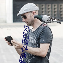 反(fǎn)派整(zhěng)本免费