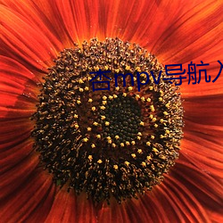杏mpv導航入口