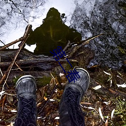 第二春 ��因素）