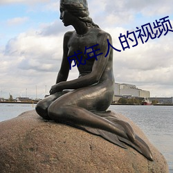 成年人的视频 （谋无遗策）