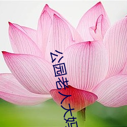 公园老人大妈公园战图