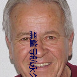 黑鲨导航永久