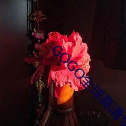 GOGO全球高清(清)专业(業)私拍摄影