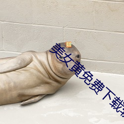 美女黄免费下载软件 （可望而不可即）
