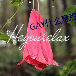 918博天堂·(中国)手机版客户端