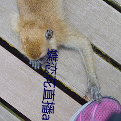 米乐M6·(中国)官方网站
