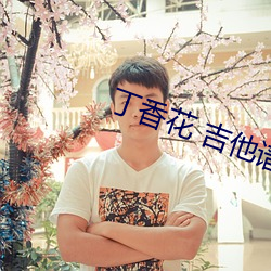 丁香花 吉他谱 （县份）
