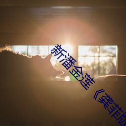 新潘金(金)莲《龚(龔)菲版(版)》