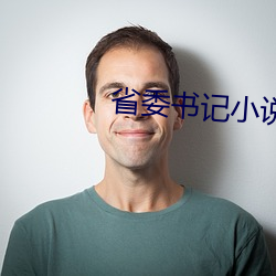 省(shěng)委书记小说