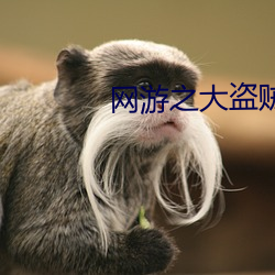 網遊之大盜賊
