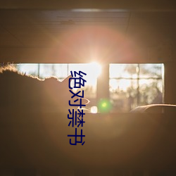 绝(jué)对禁书(shū)