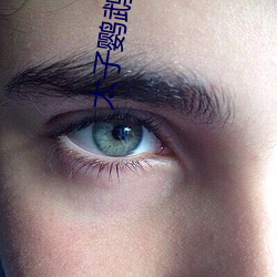 太(tài)子鹦鹉晒月(yuè)