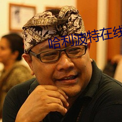 哈利波特在线阅读