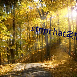 stripchat录播(bō)网站