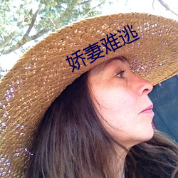 娇妻难逃
