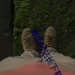 黄色网站长下载